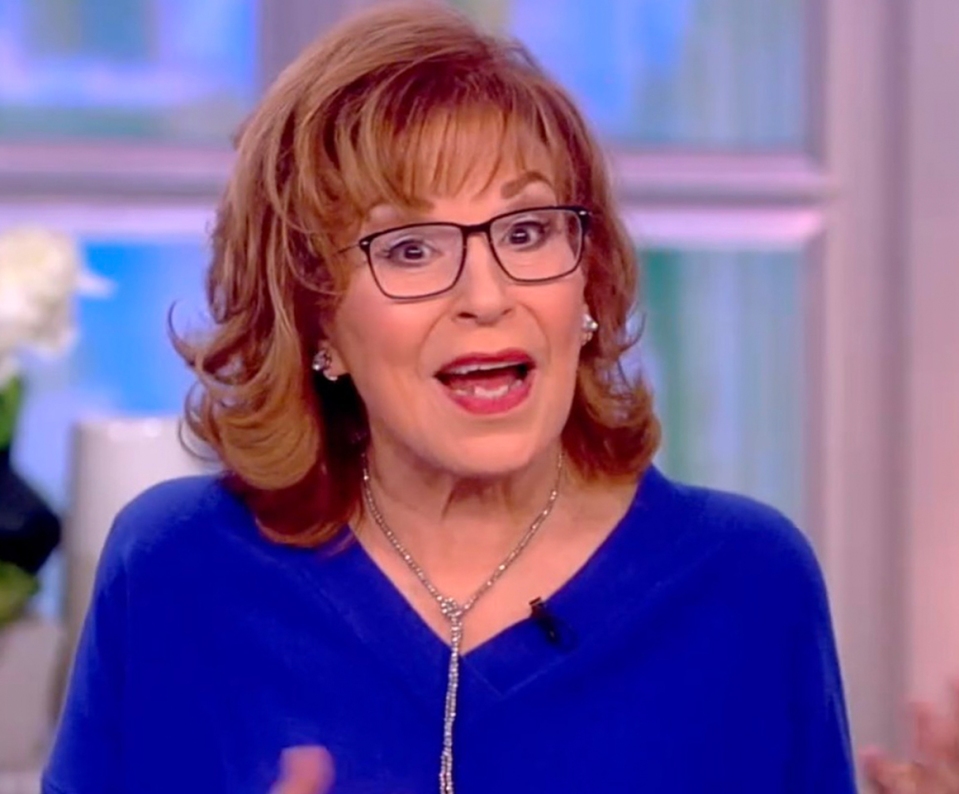 Joy Behar Wealth