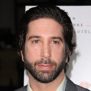 David Schwimmer Wealth