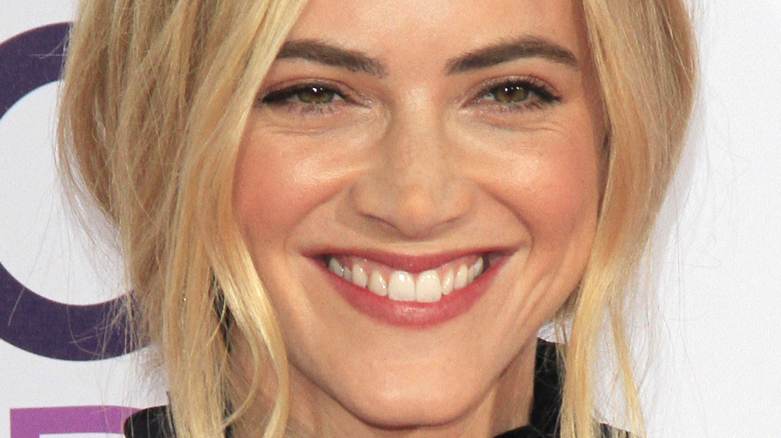 How Rich is Emily Wickersham