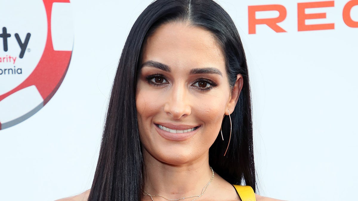 What is Nikki Bella’s Net Worth?