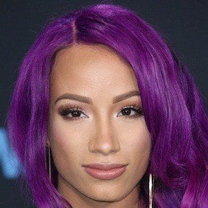 Sasha Banks Wealth